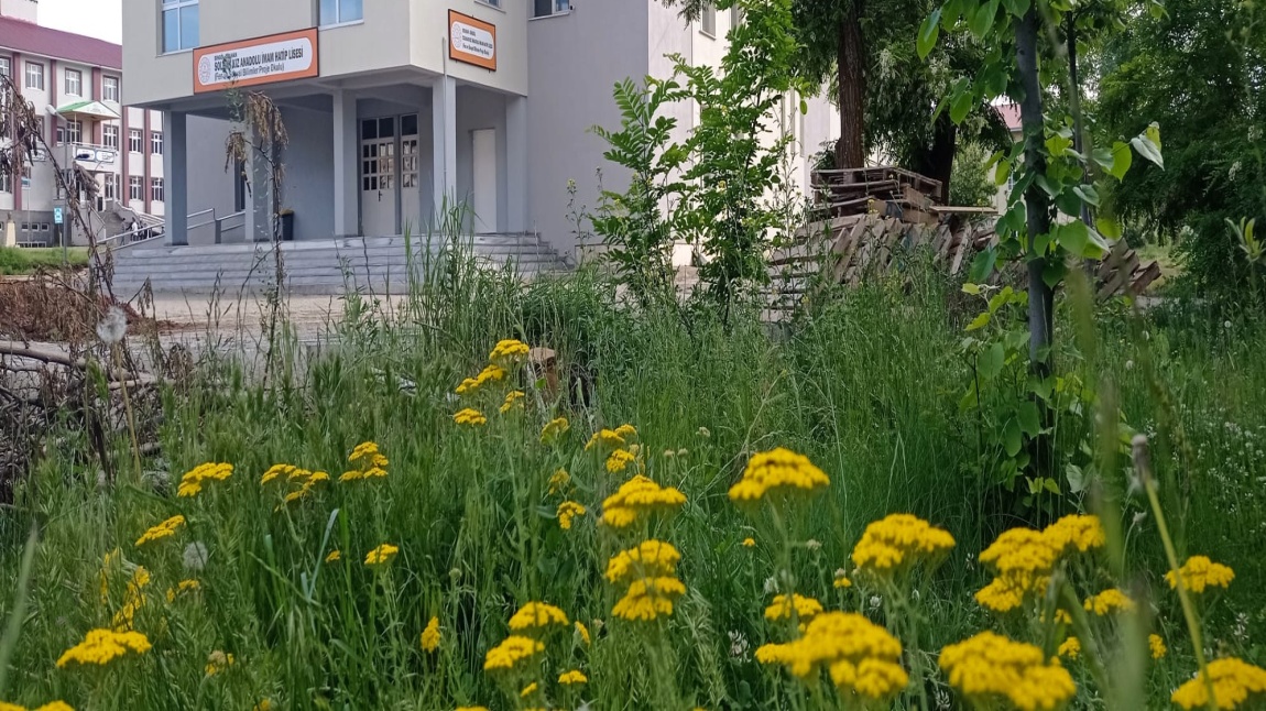 Solhan Kız Anadolu İmam Hatip Lisesi Fotoğrafı